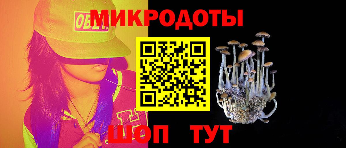 Псилоцибиновые грибы Psilocybine cubensis Вятские Поляны