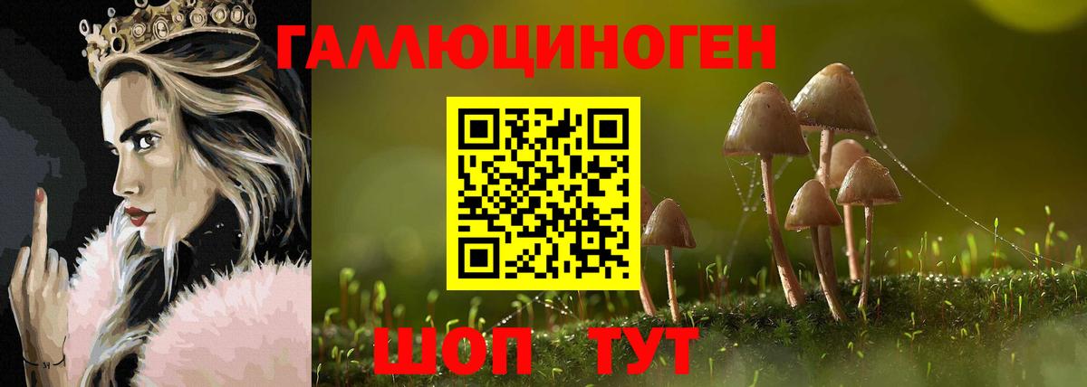 Псилоцибиновые грибы прущие грибы  Вход с VPN  Вятские Поляны 